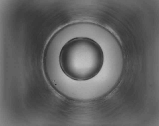 X0000070201085200605261030