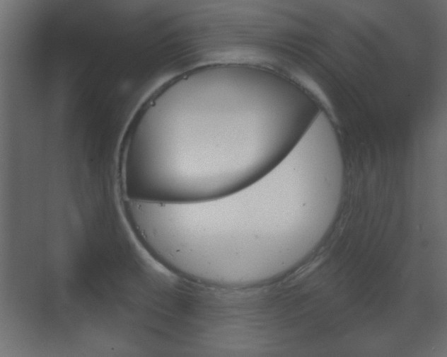 X0000070201087200605261030