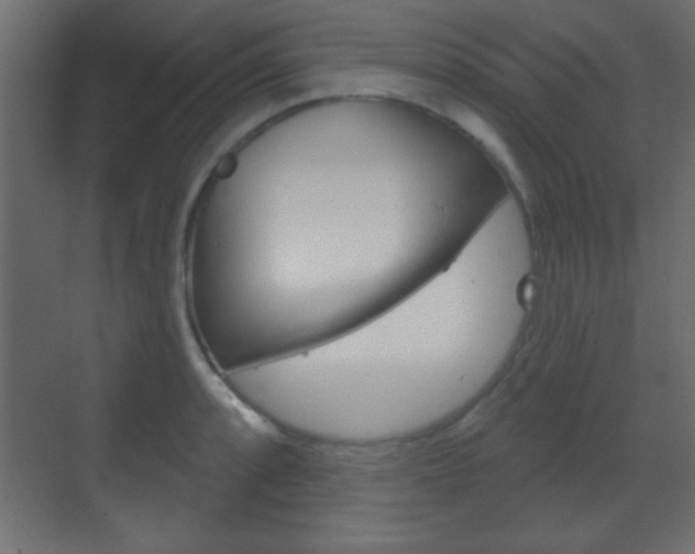 X0000070201088200605261030