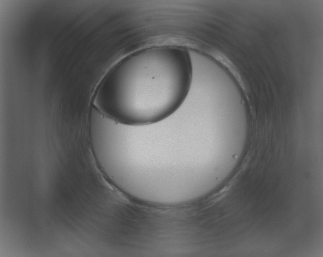 X0000070201089200605261030