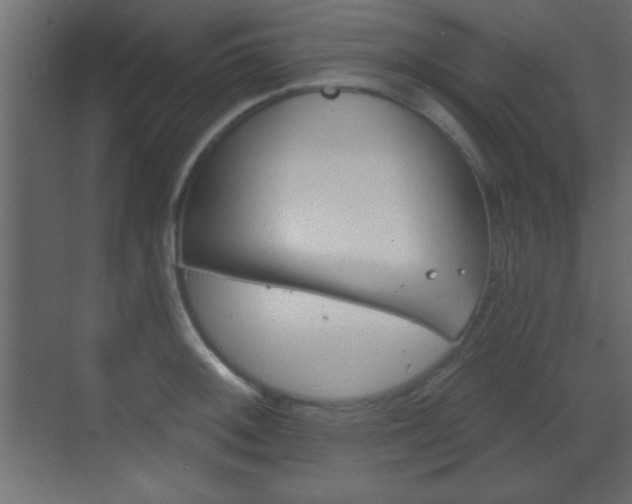 X0000070201092200605261030