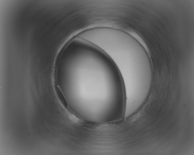 X0000070201093200605261030