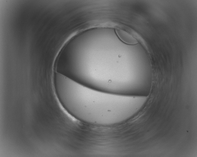 X0000070201095200605261029
