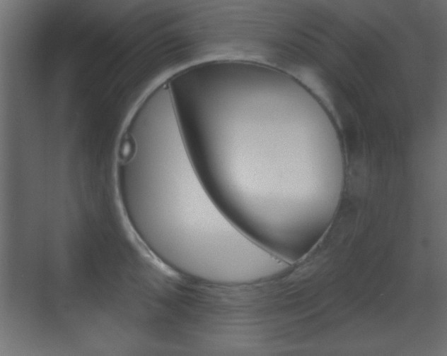 X0000070201096200605261029