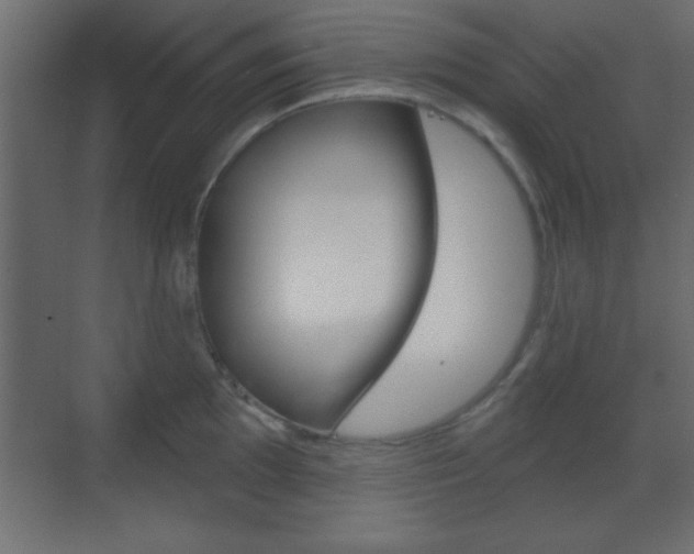 X0000070201097200605261029