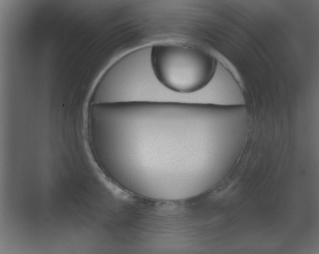 X0000070201099200605261029