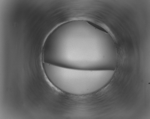 X0000070201100200605261029