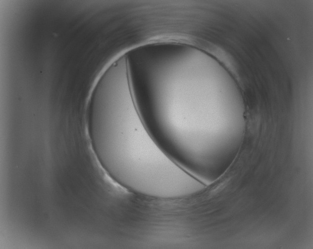 X0000070201102200605261029