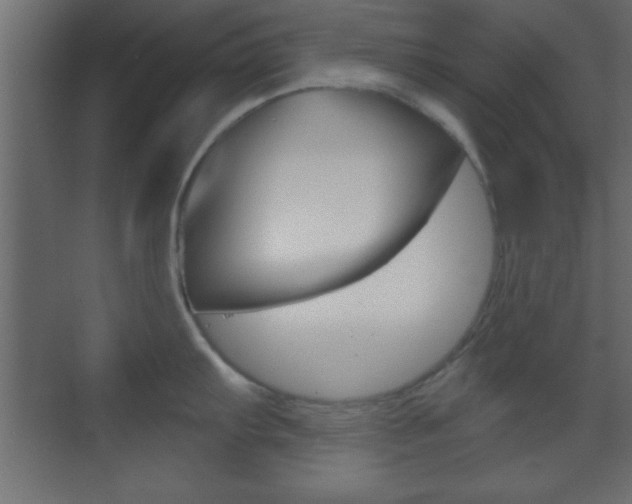 X0000070201103200605261029