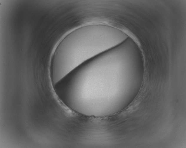 X0000070201104200605261029