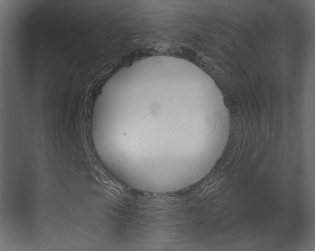 X0000070201105200605261029