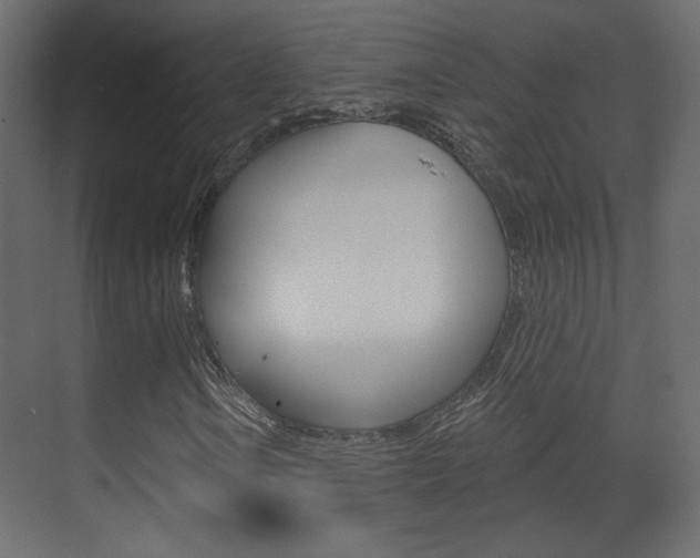 X0000070201106200605261029