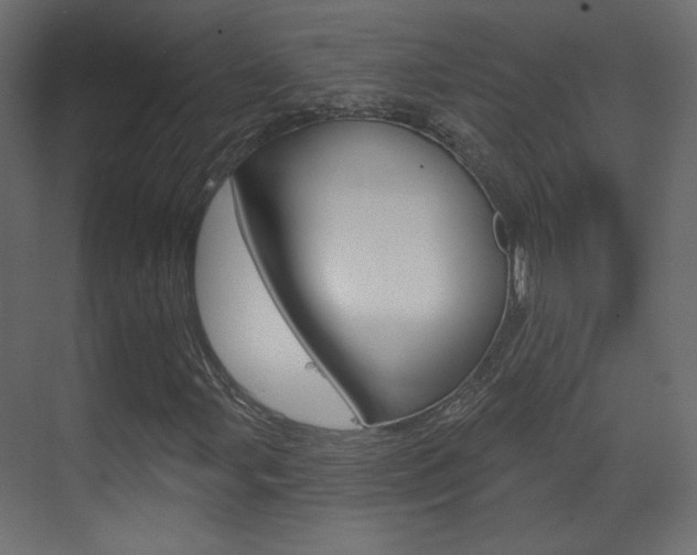 X0000070201107200605261029