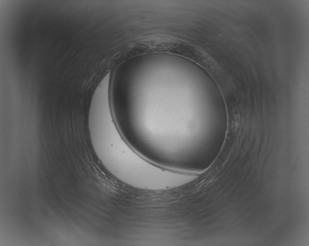 X0000070201108200605261029