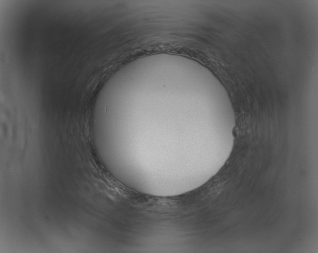 X0000070201109200605261029