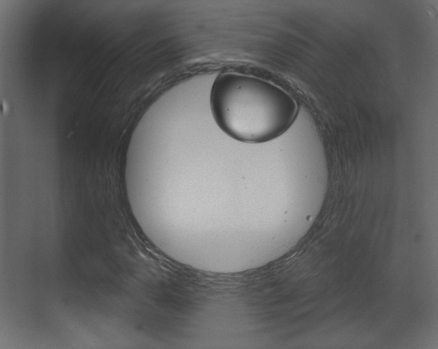 X0000070201110200605261029