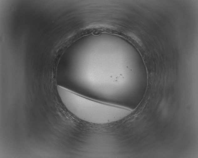 X0000070201111200605261029
