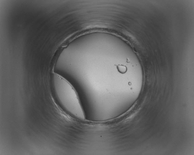 X0000070201113200605261029