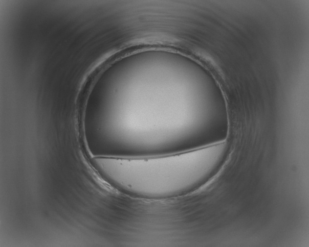 X0000070201114200605261029