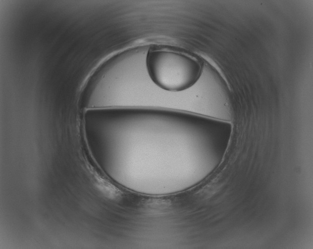 X0000070201115200605261029