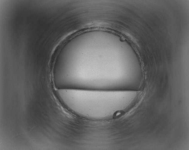 X0000070201117200605261029