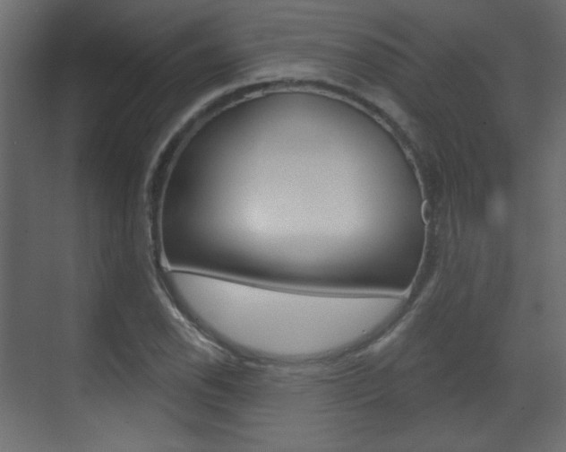 X0000070201118200605261029