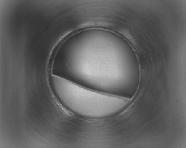 X0000070201119200605261029