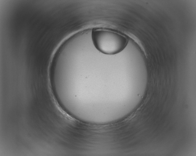 X0000070201120200605261029