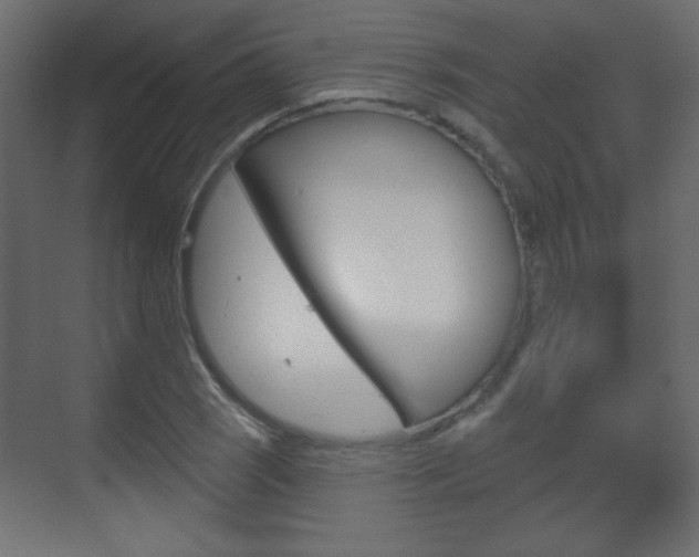 X0000070201121200605261029
