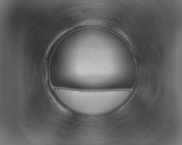 X0000070201123200605261029