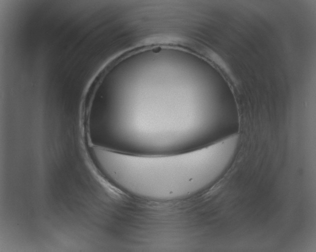X0000070201124200605261029