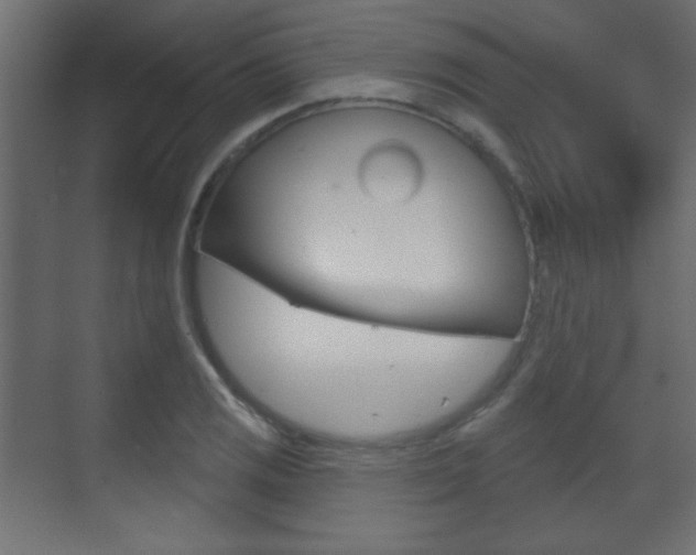 X0000070201125200605261029