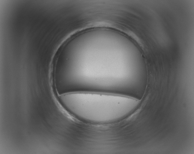 X0000070201126200605261029