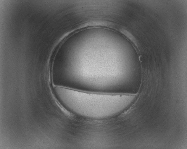 X0000070201127200605261029