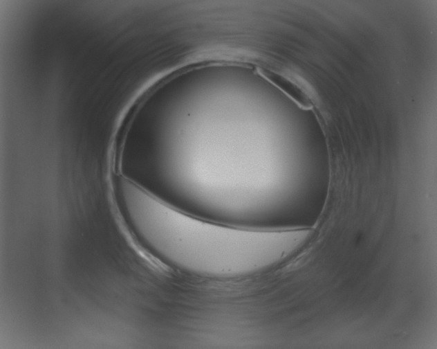 X0000070201128200605261029
