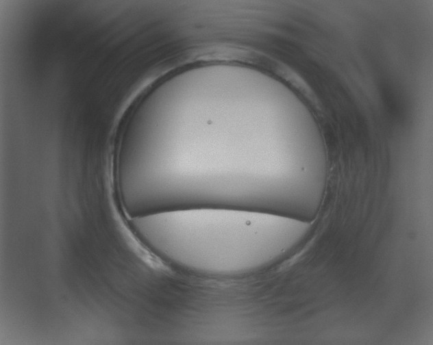 X0000070201130200605261029