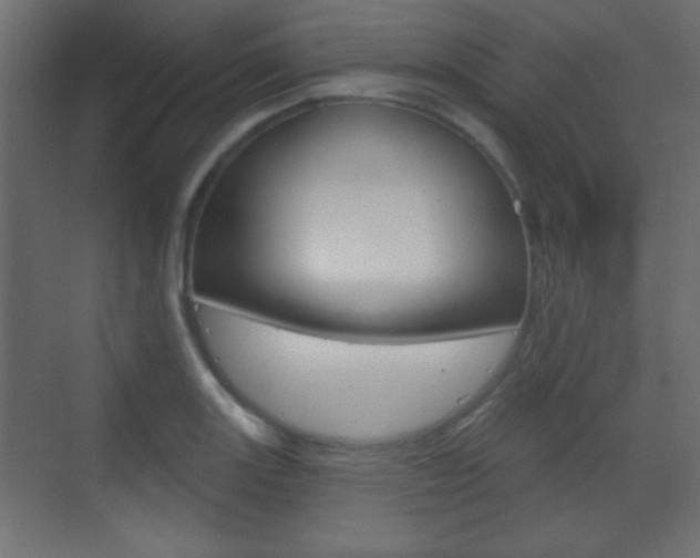 X0000070201131200605261029