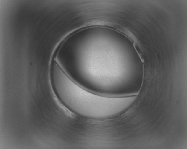 X0000070201132200605261029
