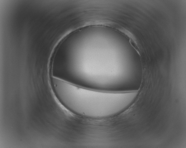 X0000070201135200605261029