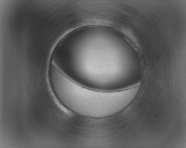 X0000070201136200605261029