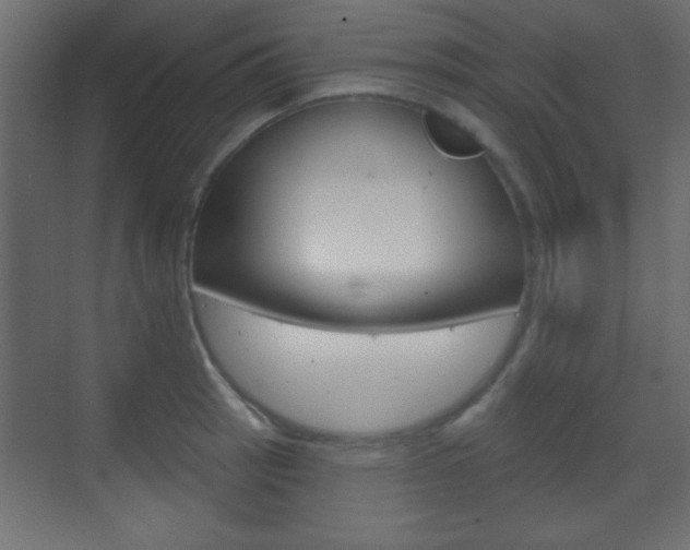 X0000070201137200605261029