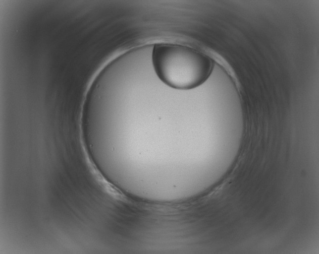 X0000070201138200605261029
