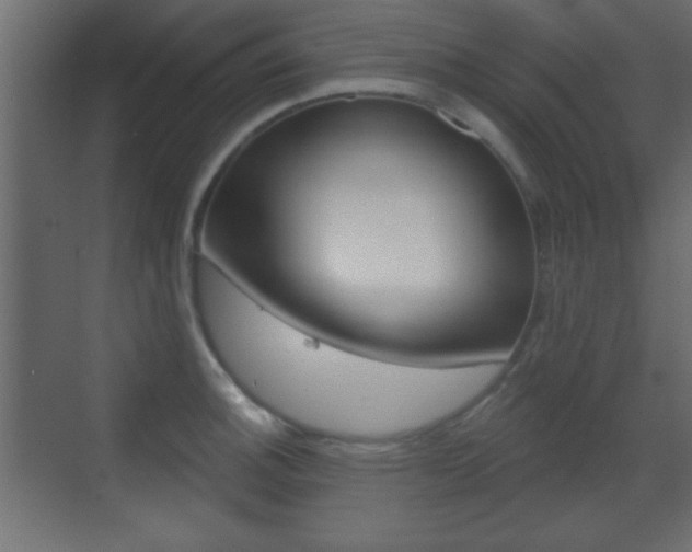 X0000070201140200605261029