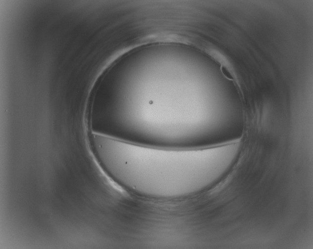 X0000070201141200605261029