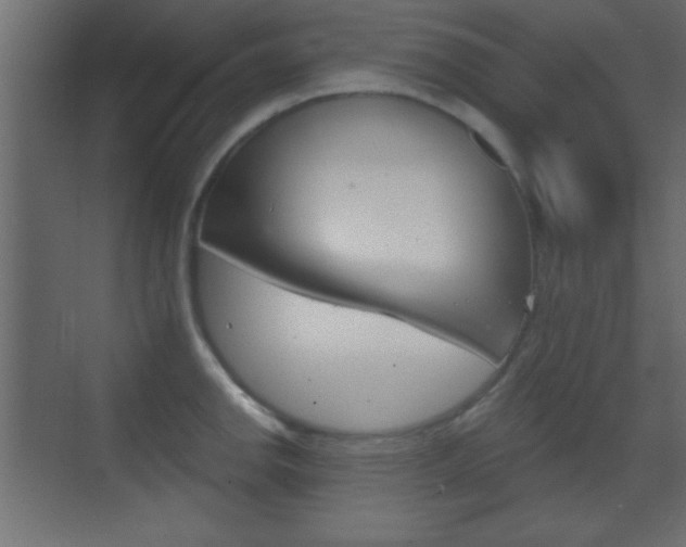 X0000070201142200605261029