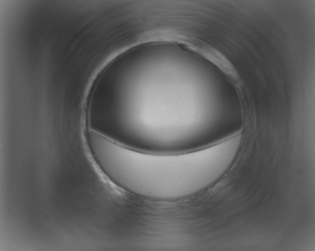 X0000070201144200605261029