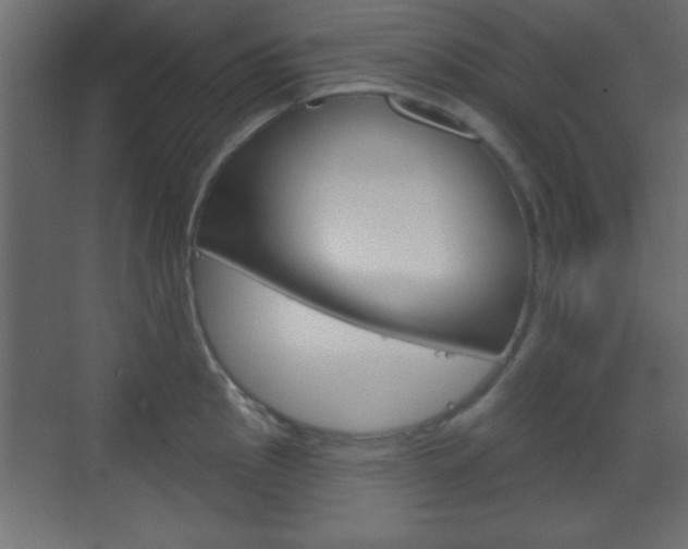 X0000070201145200605261029