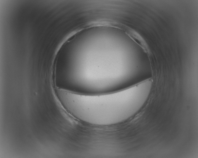 X0000070201146200605261029