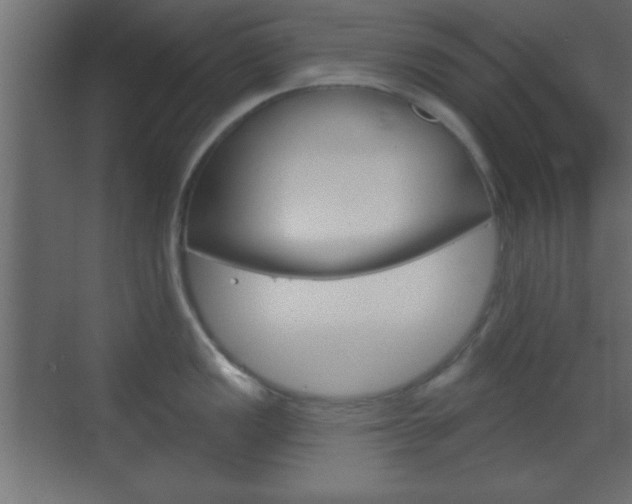 X0000070201149200605261029