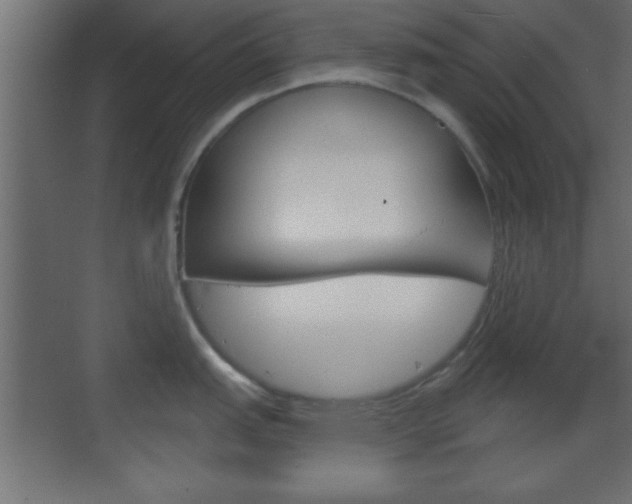 X0000070201151200605261029